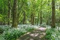 Springtime in Monaghan 2013 (37)